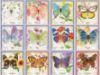 Picture of Lang Wall Calendar 2024 Butterflies