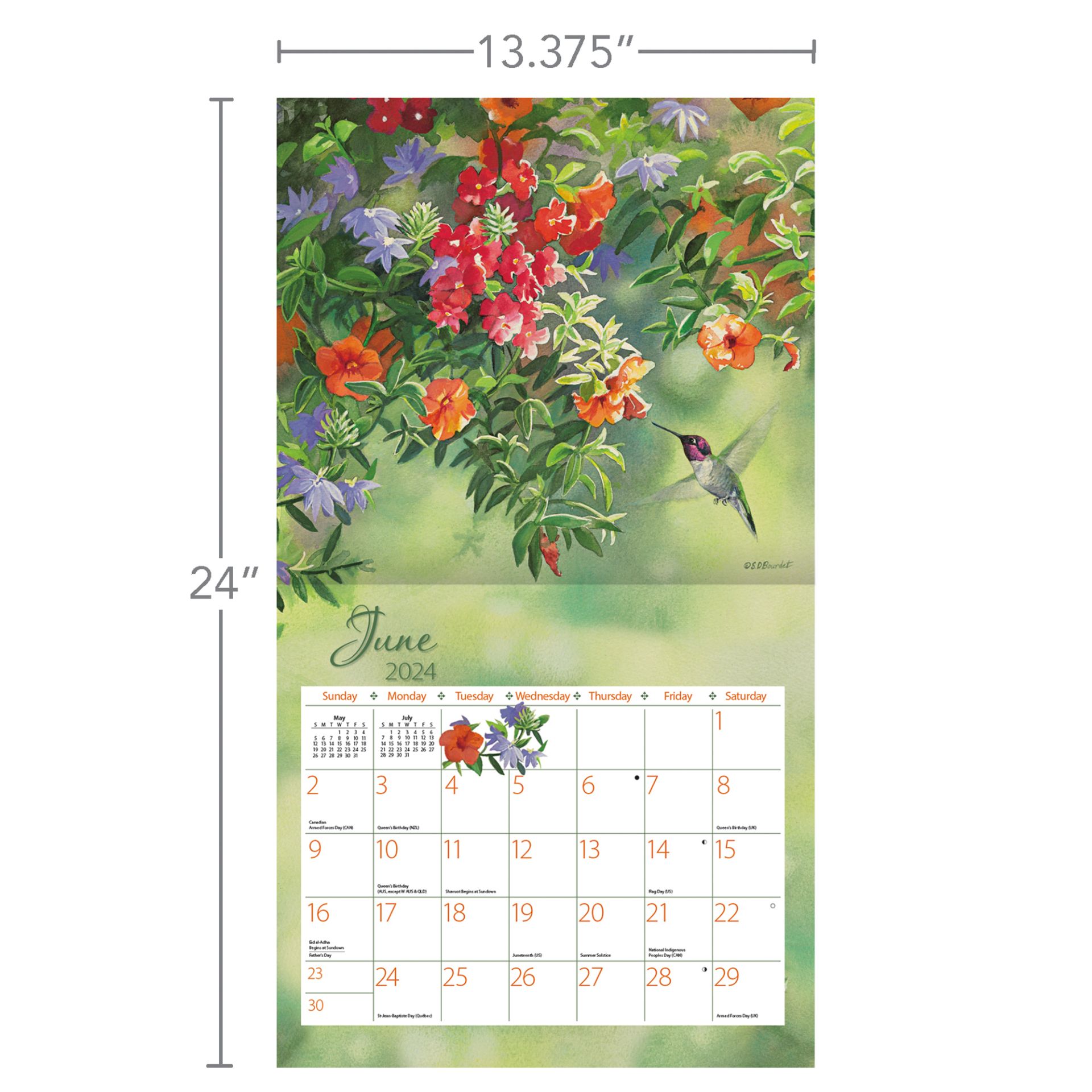 Lang Wall Calendar 2024 Hummingbirds Nextra Dianella