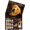 Picture of Lang Wall Calendar 2024 Love of Dogs