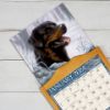 Picture of Lang Wall Calendar 2024 Love of Dogs