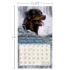 Picture of Lang Wall Calendar 2024 Love of Dogs