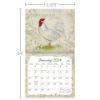 Picture of Lang Wall Calendar 2024 Proud Rooster