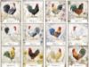 Picture of Lang Wall Calendar 2024 Proud Rooster