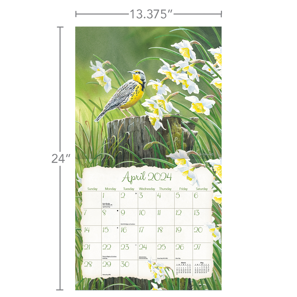 Lang Wall Calendar 2024 Songbirds Nextra Dianella