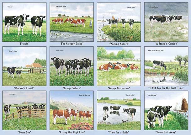 Legacy Wall Calendar 2024 Cows In The Meadow Nextra Dianella   0032539 Legacy Wall Calendar 2024 Cows In The Meadow 