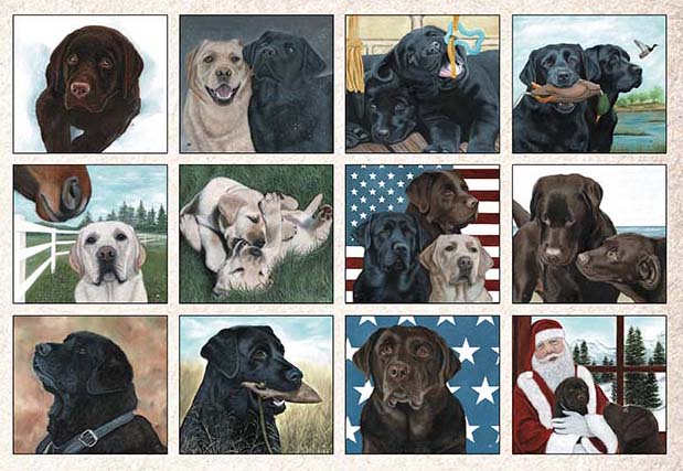 Legacy Calendar 2024 Labradors Nextra Dianella   0032570 Legacy Calendar 2024 Labradors 