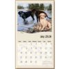 Picture of Pine Ridge Wall Calendar 2024 Must Love Dogs