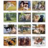 Picture of Pine Ridge Wall Calendar 2024 Must Love Dogs