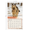 Picture of Lang Calendar 2025 Love Of Dogs by John Silver