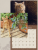 Picture of Legacy Calendar 2025 Kittens By S. Ross