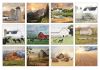 Picture of Legacy Calendar 2025 Land That I Love By Lori Deiter