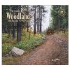 Picture of Legacy Calendar 2025 Woodland By Ned Young